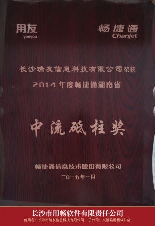 04_2014年度畅捷通湖南省中流砥柱奖.jpg