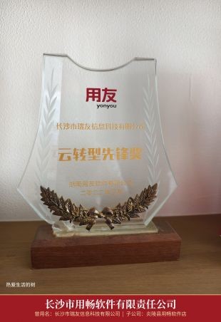 09_2022云转型先锋奖_湖南用友_其二.jpg